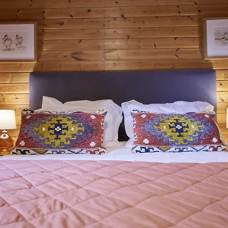 Dunnock With Hot-tub *