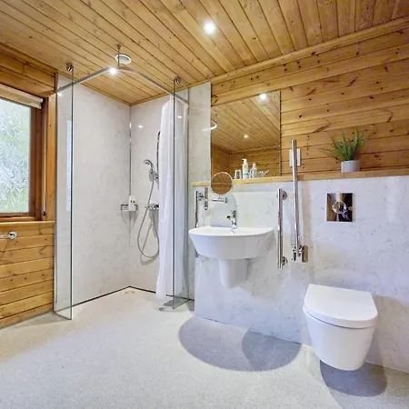 Dunnock With Hot-tub *