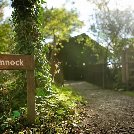 Dunnock With Hot-tub *